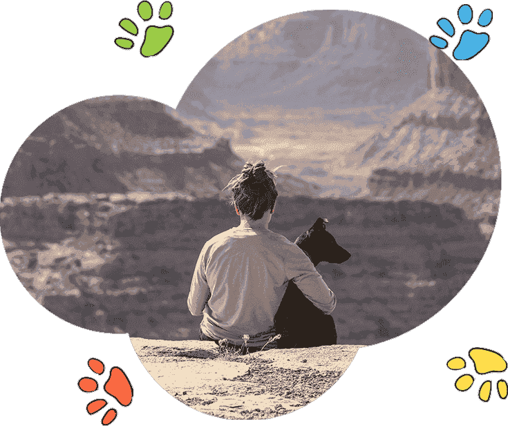 网页DDOS攻击平台